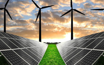 Argieder en Genera 2019