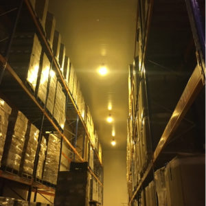 estudio luminico