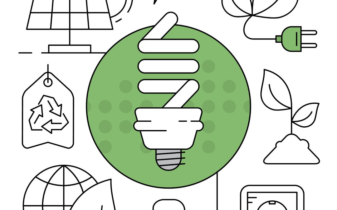 Claves del ahorro energético: cómo reducir tu factura con Argieder